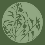 Mellow Marsh Farm logo - no image available for this plant