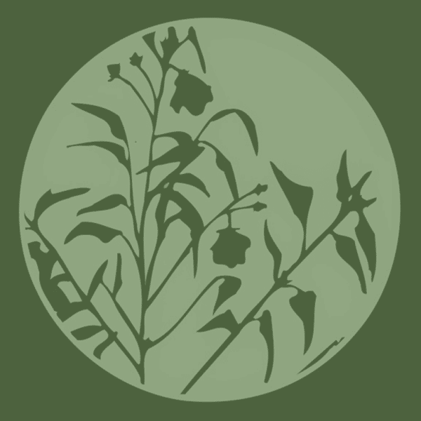 Mellow Marsh Farm logo - no image available for this plant